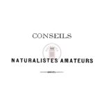 Conseils aux naturalistes amateurs (suite)