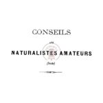 Conseils aux naturalistes amateurs (suite)