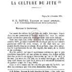 Rapport sur la culture du jute