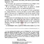 Remarques sur les types indo-chinois