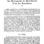 Structure sociale des montagnards du Haut-Donnai – tribu des riziculteurs