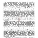 Conservation des fleurs à la façon cambodgienne