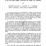 Deux aliments diététiques viêtnamiens traditionnels : les thịt chà bông (flocons de viande de porc) et les cá chà bông (flocons de chair de poisson)