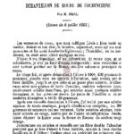 Essai d’un Échantillon de rocou de Cochinchine