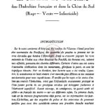 La femme et l’enfant dans l’Indochine françaises et dans la Chine du sud (rapt-vente-infanticide)