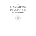 Les plantations de cocotiers au Sud-Vietnam