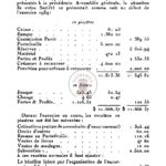 Rapport financier pour l’année 1934