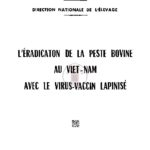 L’éradication de la peste bovine au Viet-Nam avec virus-vaccin lapinisé