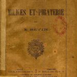 Au Tonkin, Milices et Piraterie