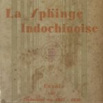 La sphynge indochinoise