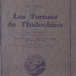 Les tortues de l’Indochine (38e note)