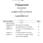 L’Esclavage et l’Engagement pour dettes dans le droit sino-annamite