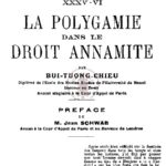 La polygamie dans le droit annamite