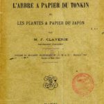 L’arbre à papier du Tonkin et les plantes à papier du Japon