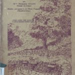 Emploi de la pierre en des temps reculés, Annam – Indonésie – Assam
