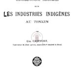 Considérations sommaires sur les industries indigènes au Tonkin