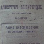 Faune entomologique de l’Indochine Française – Melasidae et Elateridae (fascicule n° 7)