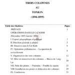 Trois colonnes au Tonkin (1894-1895)