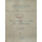 La culture du thé en Indochine