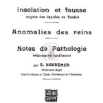 Isolation et fausse angine (angine des équidés au Tonkin) – Anomalies des reins – Notes de pathologie vétérinaire tonkinoise