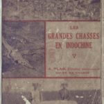 Les grandes chasses en Indochine