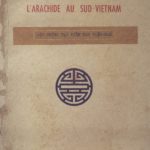 L’arachide au Sud-Vietnam