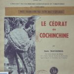 Le cédrat en Cochinchine