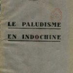 Le paludisme en Indochine