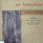 Le Caoutchouc en Indochine