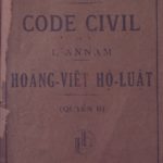 Code civil de l’Annam, Hoàng-Việt Hộ-luật (quyền II)