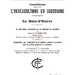 Caoutchouc, l’hévéaculture en Indochine : La main-d’œuvre – la main-d’œuvre contractuelle sur les plantations de caoutchouc  Considération sur l’organisation de la médecine préventive et curative dans les grandes plantations de caoutchouc