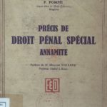 Précis de droit pénal spécial annamite