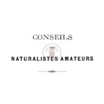 Conseils aux naturalistes amateurs (suite)
