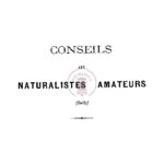 Conseils aux naturalistes amateurs (suite)