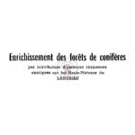 Enrichissement des forêts de conifères par introduction d’essences résineuses exotiques sur les hauts plateaux du Langbian