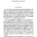 Suite des notes sur les mœurs et les superstitions populaires des annamites