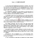 Cờ tướng-le jeu d’échecs des vietnamiens