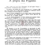 Correspondance – a propos des pygmées