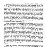 Fantaisies calligraphiques chinoises