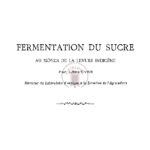 Fermentation du sucre au moyen de la levure indigène