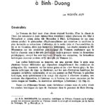 Les formations latéritiques à Binh Duong