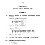 Sciences et techniques de l’Eurasie