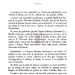 De la pomme de terre cultivée en Cochinchine