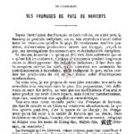De la préparation en Cochinchine des fromages de pate de haricots