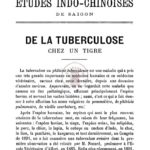 De la tuberculose chez un tigre