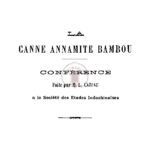La canne annamite en bambou