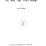 Le riz au Viêt Nam