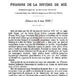 Mémoire sur les poissons de la rivière de Hué
