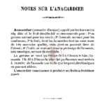 Notes sur l’anacardier