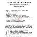 Notice sur le bananier et ses rapports avec l’agriculture, l’industrie et la médecine